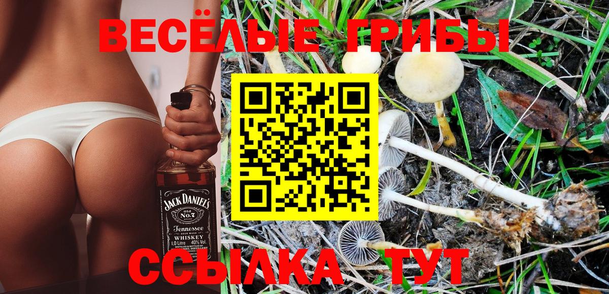 Галлюциногенные грибы Magic Shrooms  Галлюциногенные грибы мицелий  Вход с VPN  купить наркоту  Тихвин 